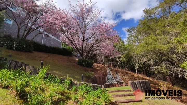 Casa em Descansópolis, Campos do Jordão - foto 69