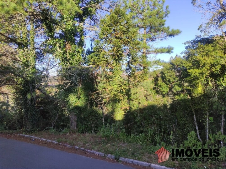 Casa em Vila Marinela, Campos do Jordão - foto 6