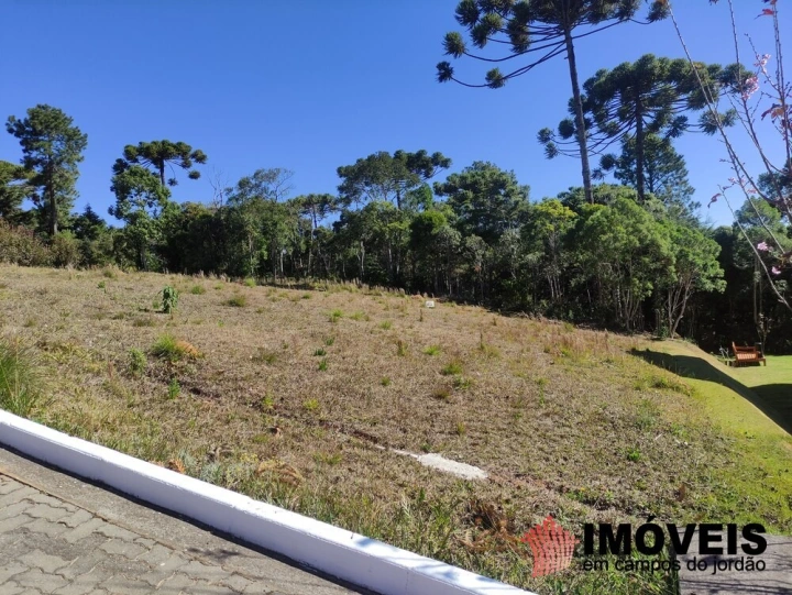 Terreno/Lote em Alto da Boa Vista, Campos do Jordão - foto 8