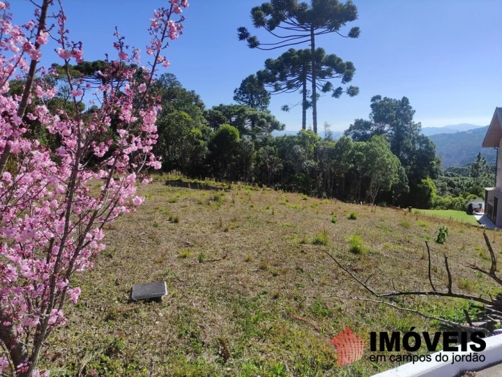 Terreno/Lote em Alto da Boa Vista, Campos do Jordão - foto 11
