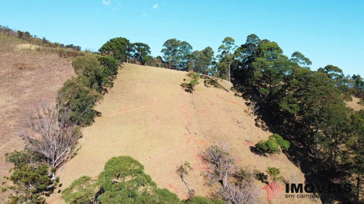 Sítio em Monte Carlo, Campos do Jordão - foto 4