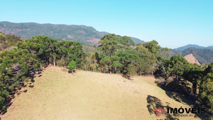 Sítio em Monte Carlo, Campos do Jordão - foto 5