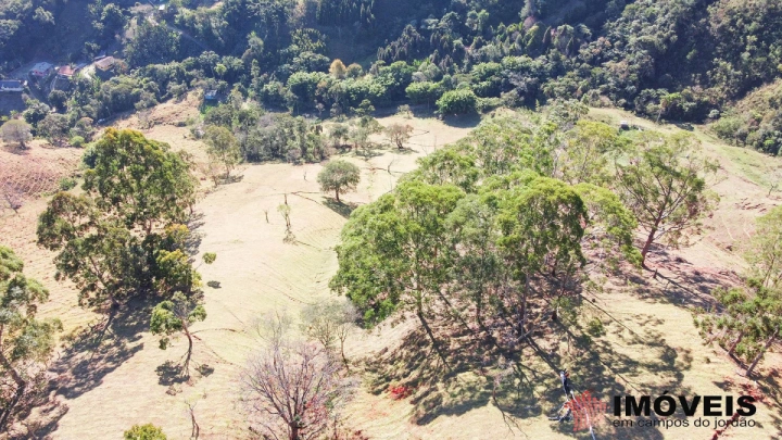 Sítio em Monte Carlo, Campos do Jordão - foto 8