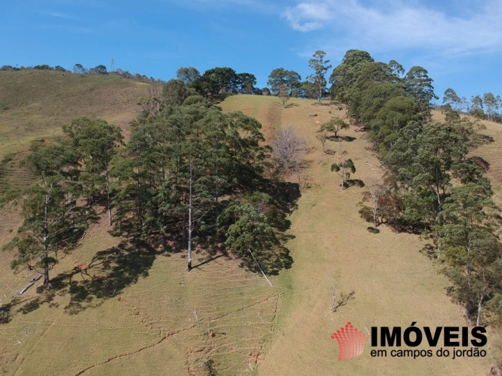 Sítio em Monte Carlo, Campos do Jordão - foto 12