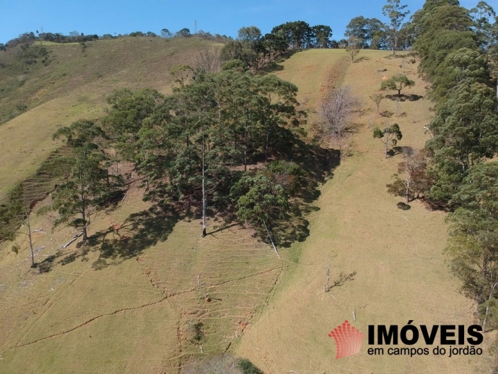 Sítio em Monte Carlo, Campos do Jordão - foto 15