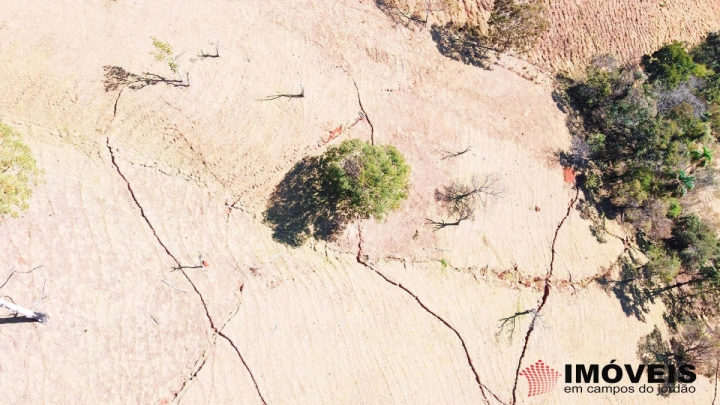 Sítio em Monte Carlo, Campos do Jordão - foto 18