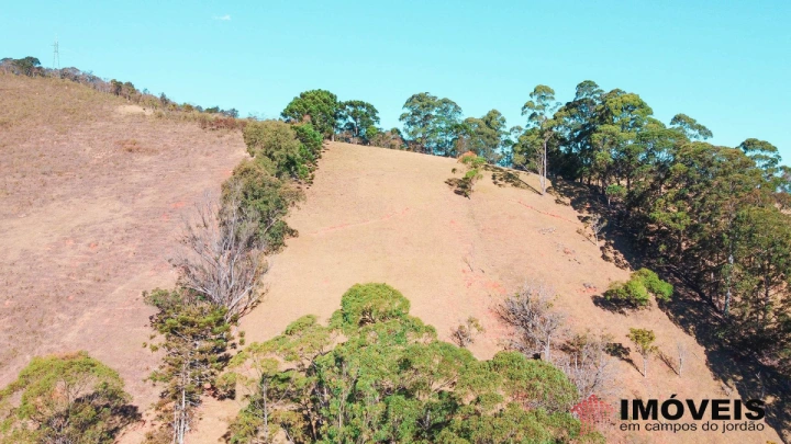 Sítio em Monte Carlo, Campos do Jordão - foto 19