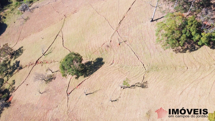 Sítio em Monte Carlo, Campos do Jordão - foto 21