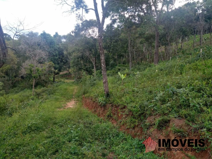 Terreno/Lote em Alpes de Campos do Jordão, Campos do Jordão - foto 4
