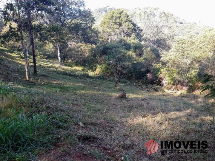 Terreno/Lote em Alpes de Campos do Jordão, Campos do Jordão - foto 6