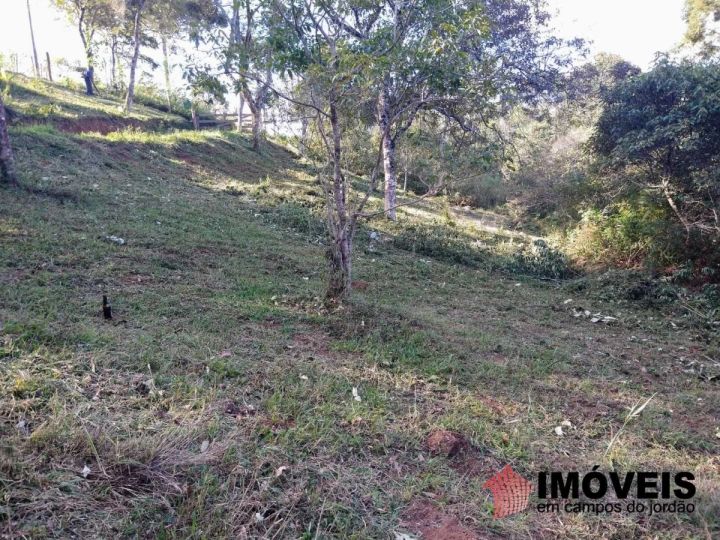 Terreno/Lote em Alpes de Campos do Jordão, Campos do Jordão - foto 7