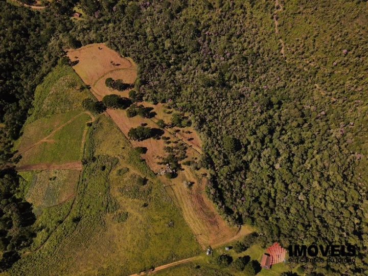 Terreno/Lote em Sertão de Cantagalo, Gonçalves - foto 4