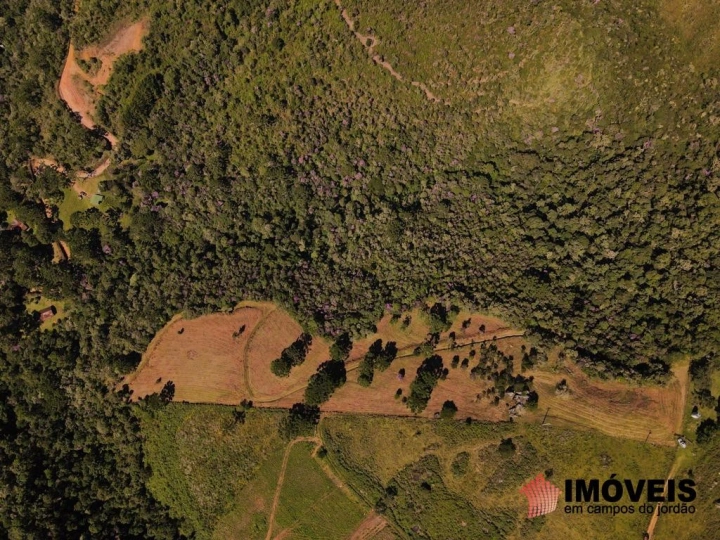 Terreno/Lote em Sertão de Cantagalo, Gonçalves - foto 6