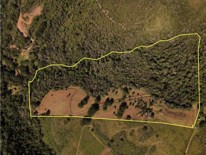 Terreno/Lote em Sertão de Cantagalo, Gonçalves - foto 1