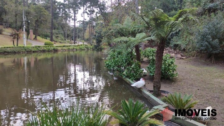 Terreno/Lote em Vila Capivari, Campos do Jordão - foto 8