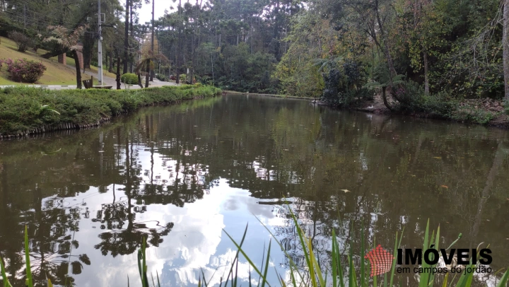 Terreno/Lote em Vila Capivari, Campos do Jordão - foto 11