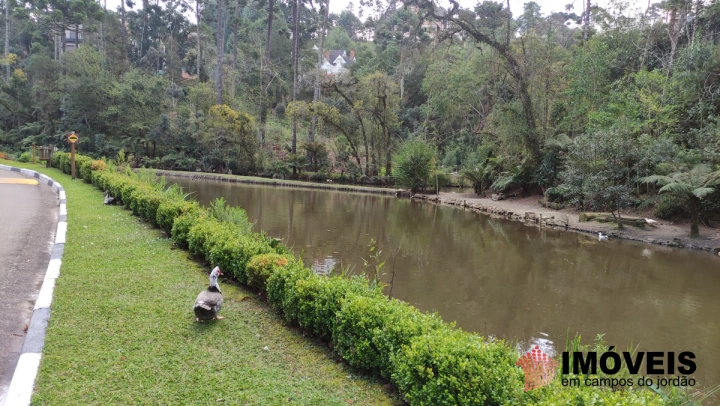 Terreno/Lote em Vila Capivari, Campos do Jordão - foto 12