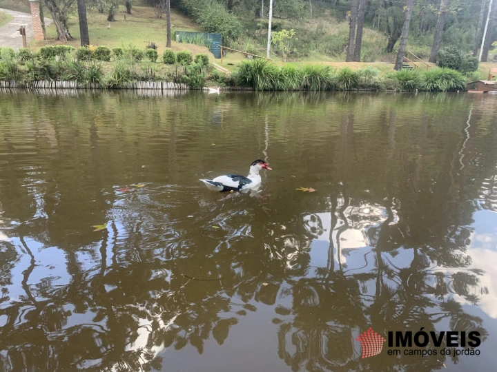 Terreno/Lote em Vila Capivari, Campos do Jordão - foto 24