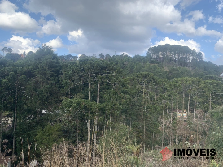Terreno/Lote em Vila Capivari, Campos do Jordão - foto 26