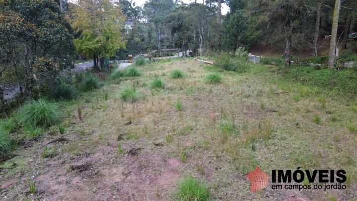Terreno/Lote em Vila Capivari, Campos do Jordão - foto 6