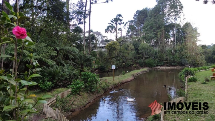 Terreno/Lote em Vila Capivari, Campos do Jordão - foto 10