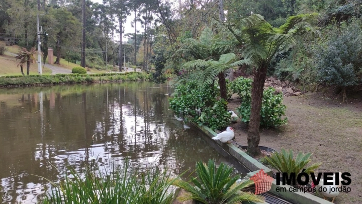 Terreno/Lote em Vila Capivari, Campos do Jordão - foto 18