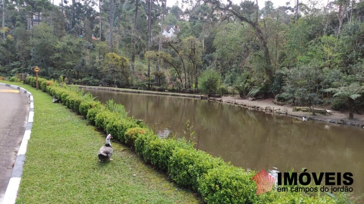 Terreno/Lote em Vila Capivari, Campos do Jordão - foto 20