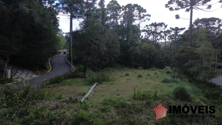 Terreno/Lote em Vila Capivari, Campos do Jordão - foto 22