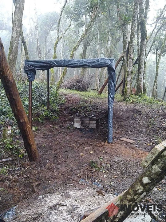 Terreno/Lote em Nova Capivari, Campos do Jordão - foto 7