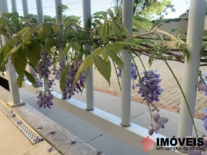 Apartamento em Vila Sylvia, Campos do Jordão - foto 18