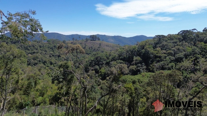 Terreno/Lote em Parque Pedra do Baú, Campos do Jordão - foto 5