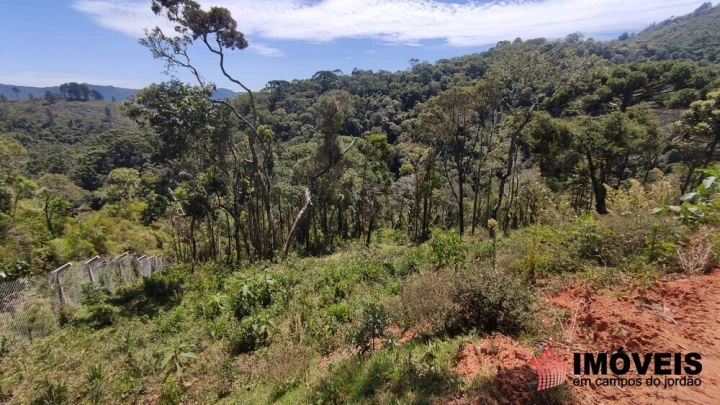 Terreno/Lote em Parque Pedra do Baú, Campos do Jordão - foto 9