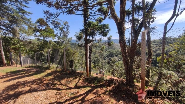 Terreno/Lote em Parque Pedra do Baú, Campos do Jordão - foto 13