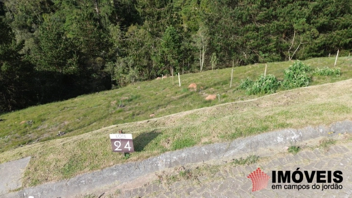 Terreno/Lote em Alto do Capivari, Campos do Jordão - foto 22