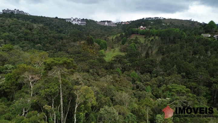Terreno/Lote em Alto do Capivari, Campos do Jordão - foto 6