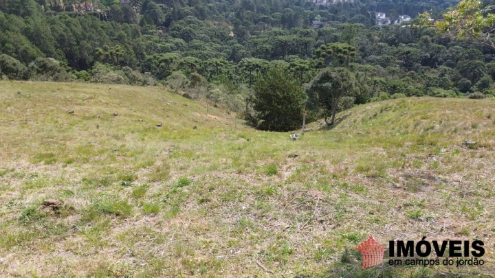 Terreno/Lote em Alto do Capivari, Campos do Jordão - foto 3