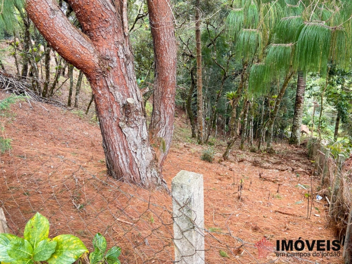 Terreno/Lote em Atalaia, Campos do Jordão - foto 1