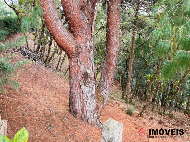 Terreno/Lote em Atalaia, Campos do Jordão - foto 2