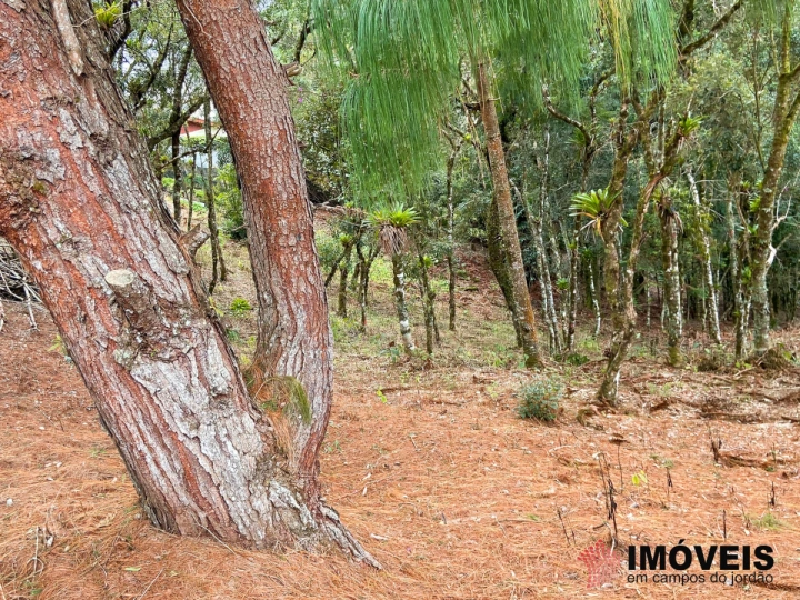 Terreno/Lote em Atalaia, Campos do Jordão - foto 3