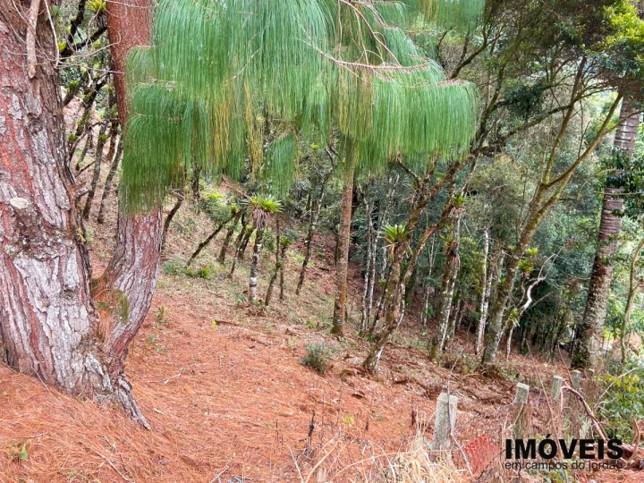 Terreno/Lote em Atalaia, Campos do Jordão - foto 4