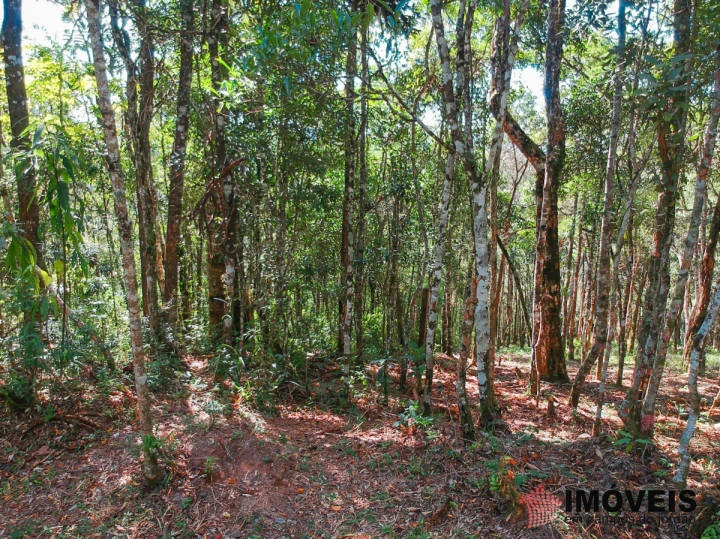 Terreno/Lote em Cidade do Sol, Campos do Jordão - foto 4