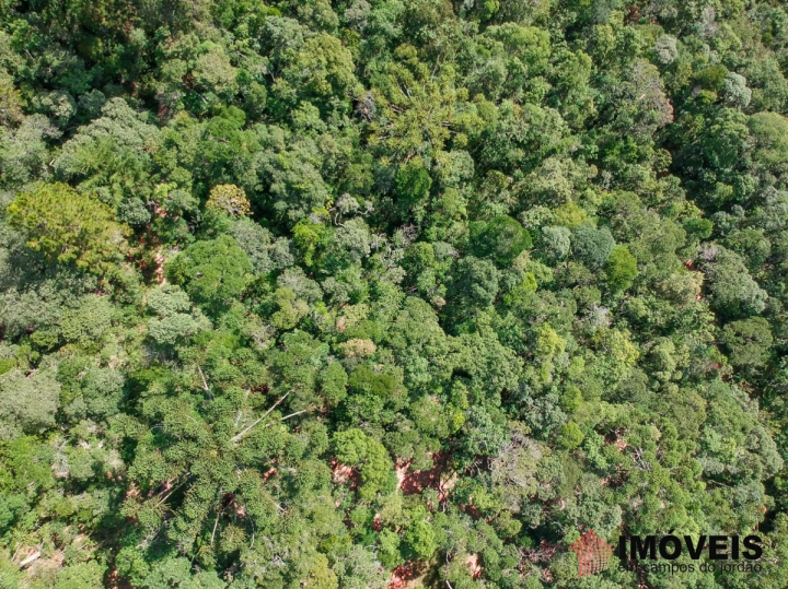 Terreno/Lote em Cidade do Sol, Campos do Jordão - foto 8