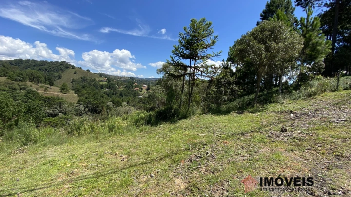 Terreno/Lote em Jardim Sumaré, Campos do Jordão - foto 3