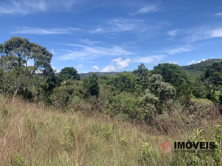 Terreno/Lote em Descansópolis, Campos do Jordão - foto 5