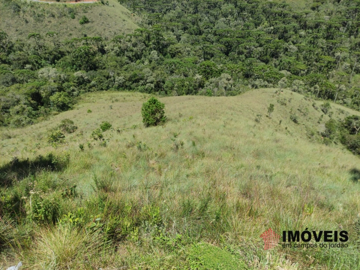Terreno/Lote em Iporanga, Campos do Jordão - foto 1