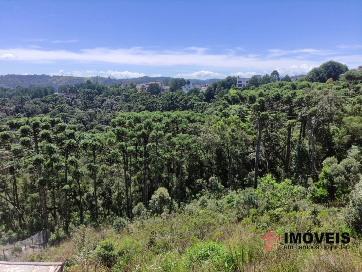 Terreno/Lote em Descansópolis, Campos do Jordão - foto 2