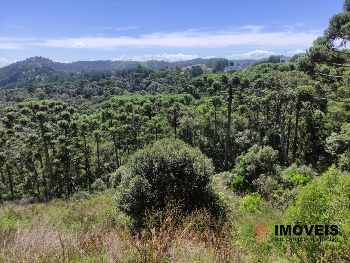 Terreno/Lote em Descansópolis, Campos do Jordão - foto 3