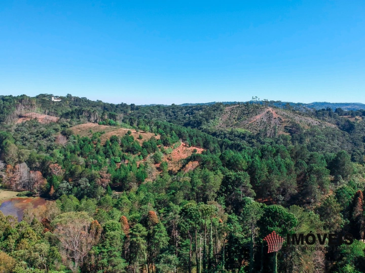 Terreno/Lote em Umuarama, Campos do Jordão - foto 4