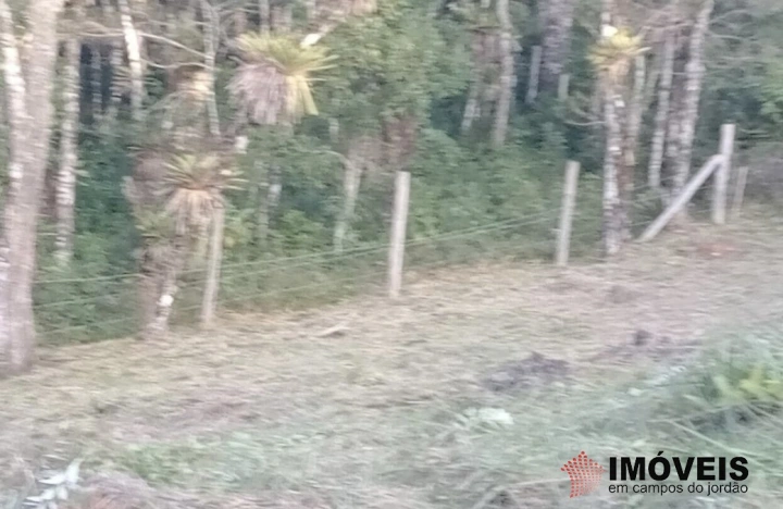 Terreno/Lote em Jardim Cataguases, Campos do Jordão - foto 3