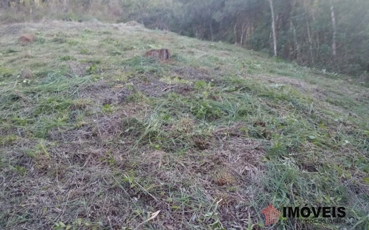 Terreno/Lote em Jardim Cataguases, Campos do Jordão - foto 4